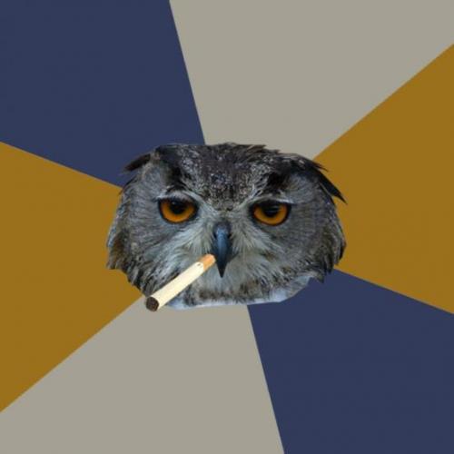 High Quality Art Student Owl Blank Meme Template