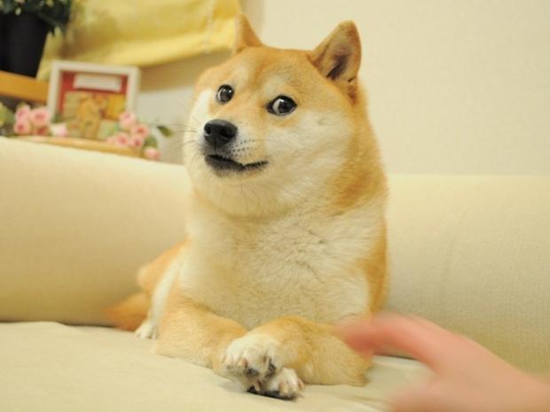 Doge Meme Template Collection - Meme Templates