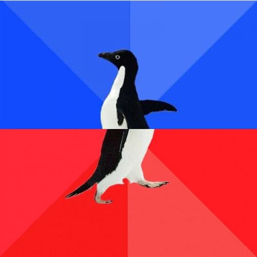 Socially Awkward Awesome Penguin Blank Meme Template