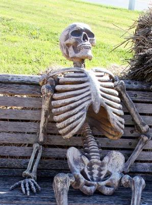Skeleton on a park bench