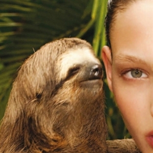 Whisper Sloth Blank Meme Template