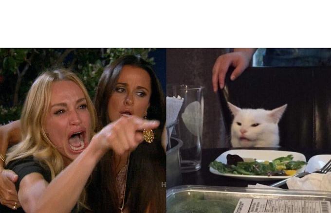 High Quality Woman Yelling At Cat Blank Meme Template
